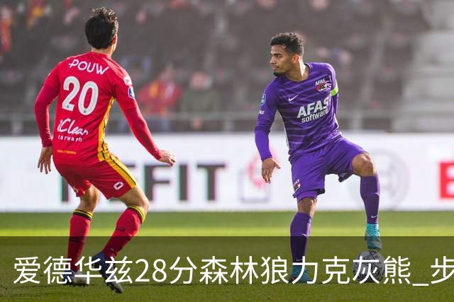 爱德华兹28分森林狼力克灰熊 步行者险胜国王